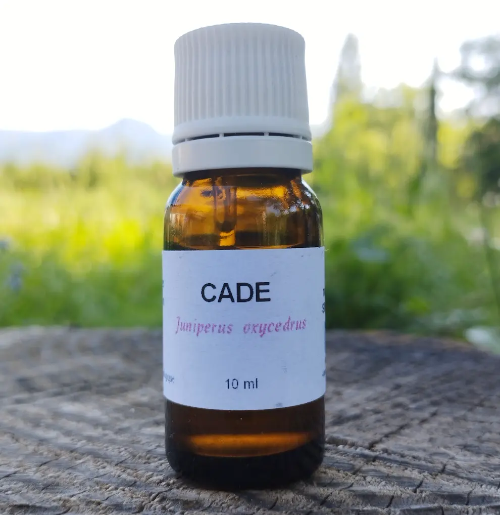 Huile essentielle d'Agastache  5 ml
